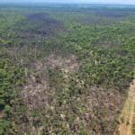 MPMS investiga incêndio no Pantanal que destruiu mais de 2 mil hectares em 2024