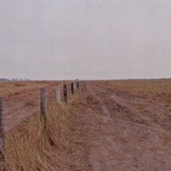 MPMS investiga queima ilegal de mais de 2 mil hectares no Pantanal, em Corumbá