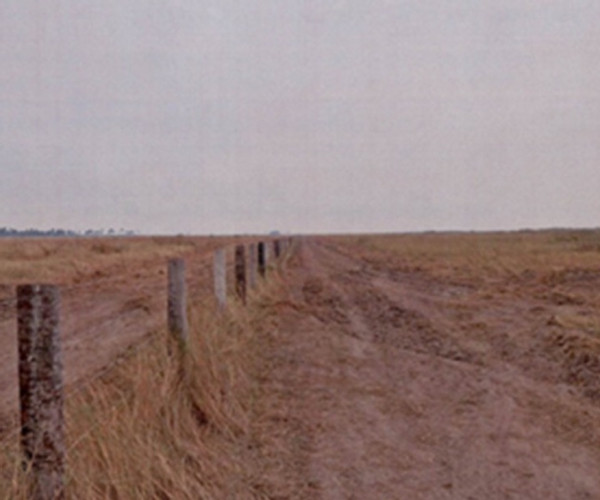 MPMS investiga queima ilegal de mais de 2 mil hectares no Pantanal, em Corumbá