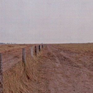 MPMS investiga queima ilegal de mais de 2 mil hectares no Pantanal, em Corumbá