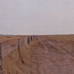 MPMS investiga queima ilegal de mais de 2 mil hectares no Pantanal, em Corumbá