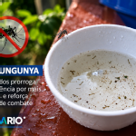 Emergência por Chikungunya é prorrogada por mais 90 dias em Dourados