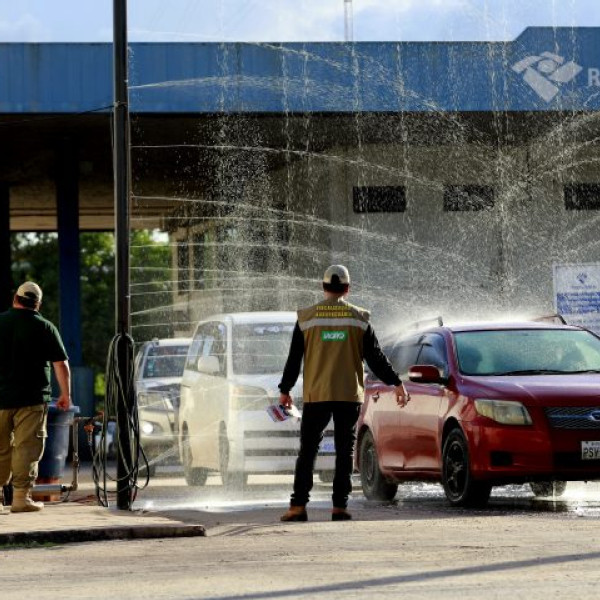 Mato Grosso do Sul promove reunião com PR, SC e RS para monitorar Influenza Aviária