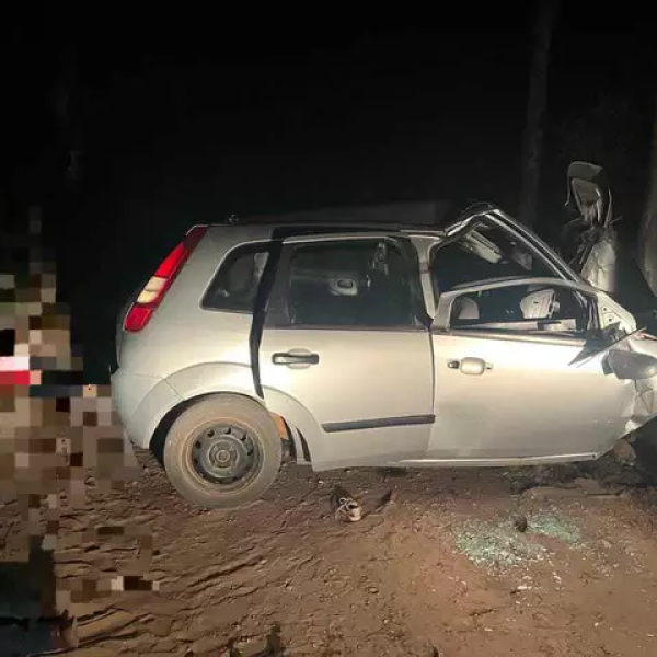 Batida em árvore tira a vida de duas crianças no interior de MS
