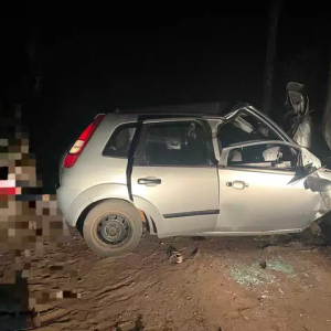 Batida em árvore tira a vida de duas crianças no interior de MS