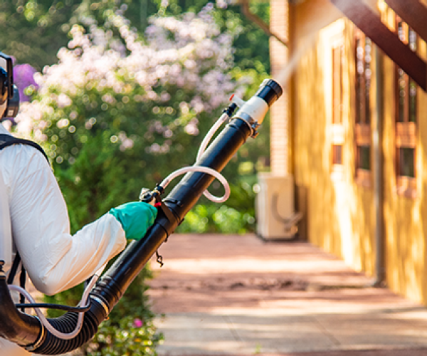 Estado de MS distribui 150 bombas costais para reforçar combate ao Aedes aegypti em MS