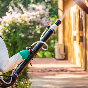 Estado de MS distribui 150 bombas costais para reforçar combate ao Aedes aegypti em MS