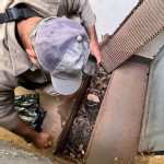 MS registra mais de 8 mil casos confirmados de dengue e 18 mortes em 2025