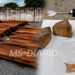 Bolívia cobra esclarecimentos após perícia descartar cocaína em carga de madeira apreendida na fronteira