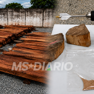 Bolívia cobra esclarecimentos após perícia descartar cocaína em carga de madeira apreendida na fronteira