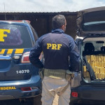 Boliviano é preso com 25 kg de pasta base de cocaína em ônibus na BR-262