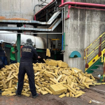 Polícia Federal incinera mais de 8 toneladas de maconha em Três Lagoas