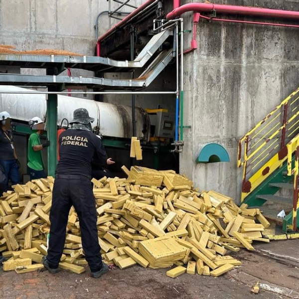 Polícia Federal incinera mais de 8 toneladas de maconha em Três Lagoas