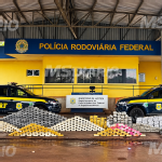 PRF apreende quase uma tonelada de drogas escondida em carga de minério na BR-262