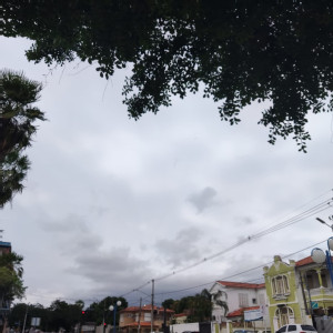 Neblina e chuva leve marcam início da semana em Mato Grosso do Sul
