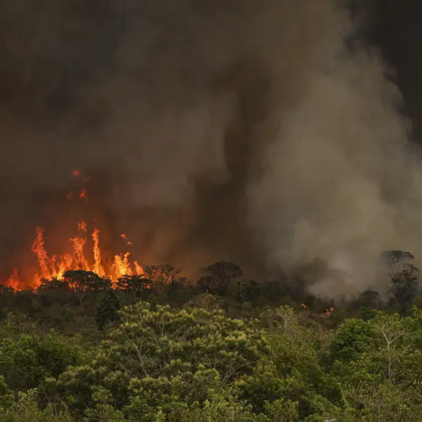PF lança Operação Incêndios 2025 para combater queimadas no Pantanal e na Amazônia