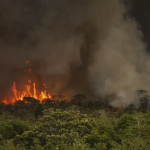 PF lança Operação Incêndios 2025 para combater queimadas no Pantanal e na Amazônia