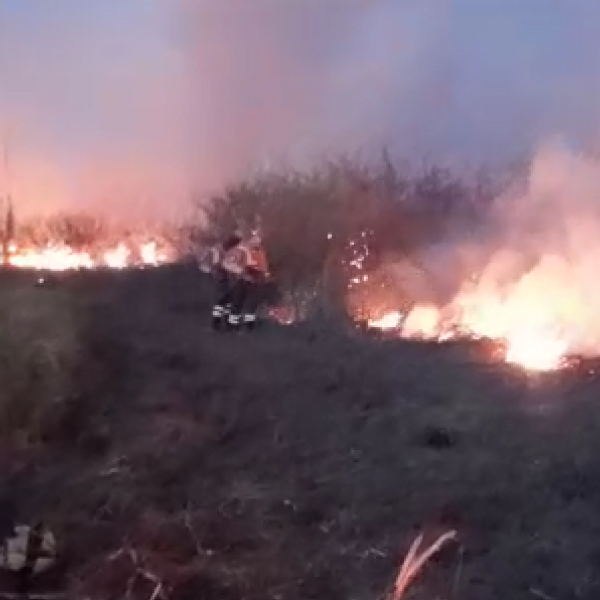 Bombeiros combatem incêndio na região do Porto da Manga