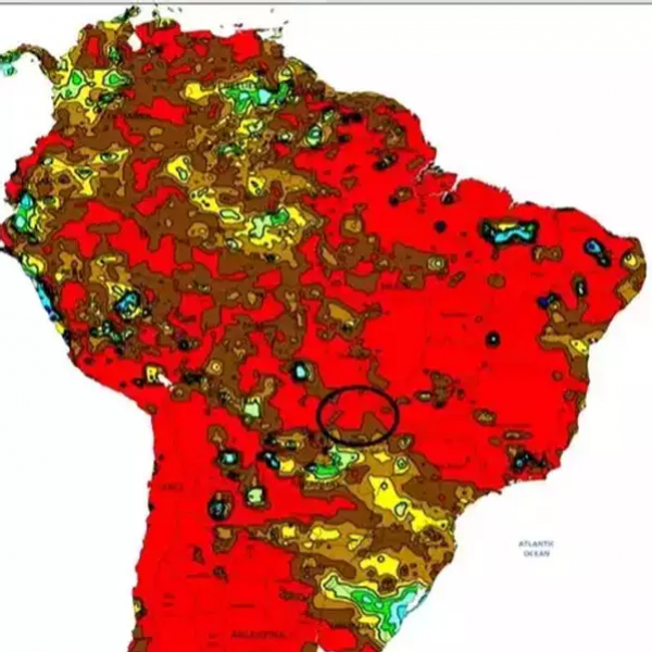 Crise hídrica no Pantanal aumenta riscos de seca e incêndios em 2025