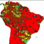 Crise hídrica no Pantanal aumenta riscos de seca e incêndios em 2025