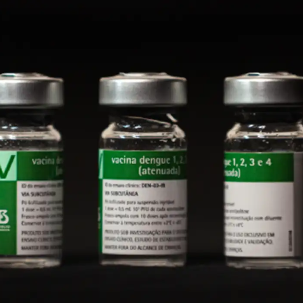 Combate à dengue: nova vacina começa a ser usada em cidades do Brasil