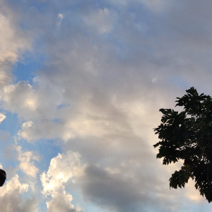 Mato Grosso do Sul terá temperaturas altas e possibilidade de chuva ao longo do dia