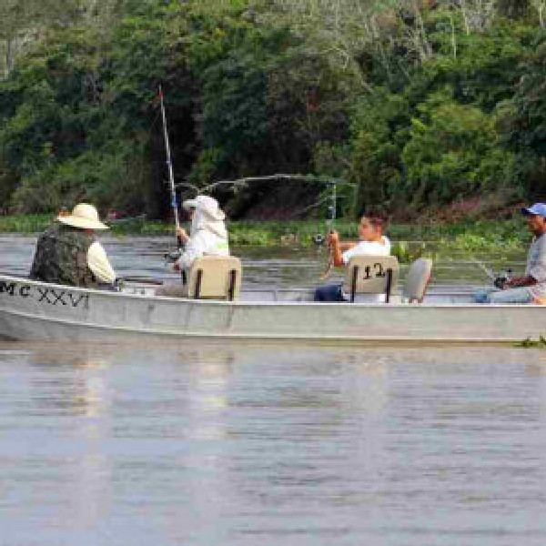 Piracema tem início na próxima semana em todos os rios de Mato Grosso do Sul