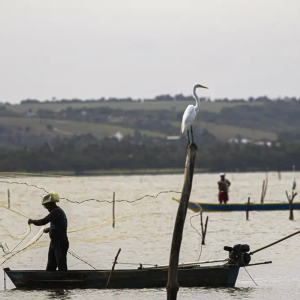 Governo libera sexto lote do seguro-defeso para mais de 110 mil pescadores