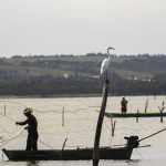 Governo libera sexto lote do seguro-defeso para mais de 110 mil pescadores