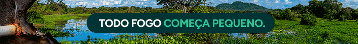 Publicidade